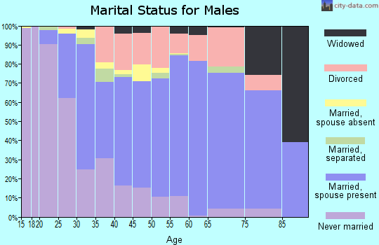 Zip code 49028 marital status for males