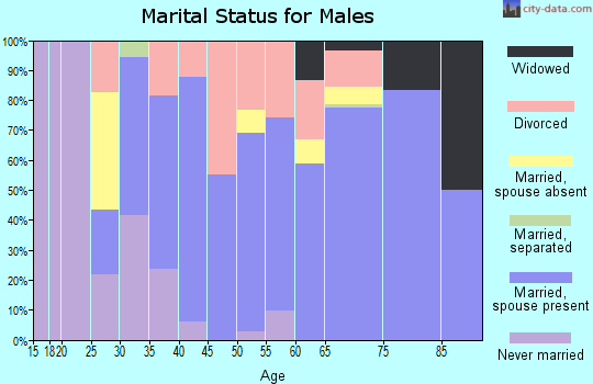 Zip code 49029 marital status for males