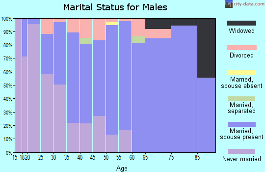 Zip code 49030 marital status for males