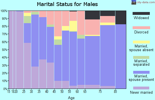 Zip code 49031 marital status for males