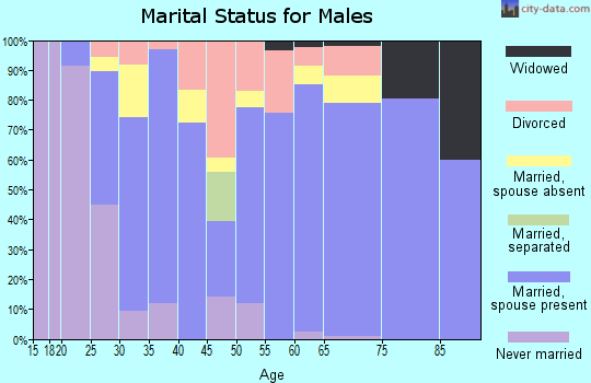 Zip code 49032 marital status for males