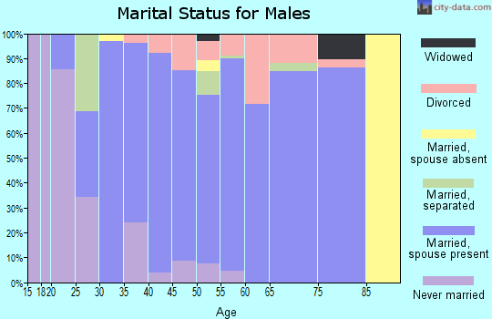 Zip code 49034 marital status for males
