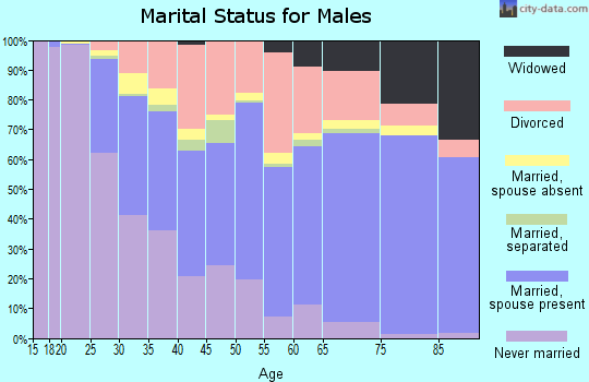 Zip code 49036 marital status for males