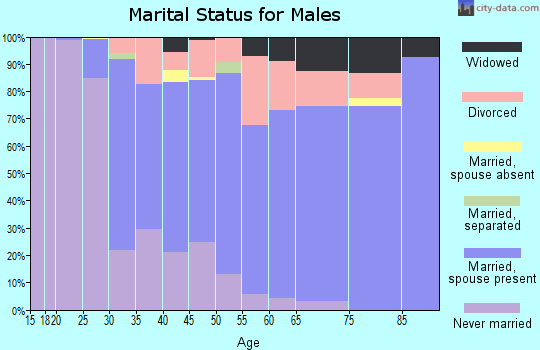Zip code 49038 marital status for males