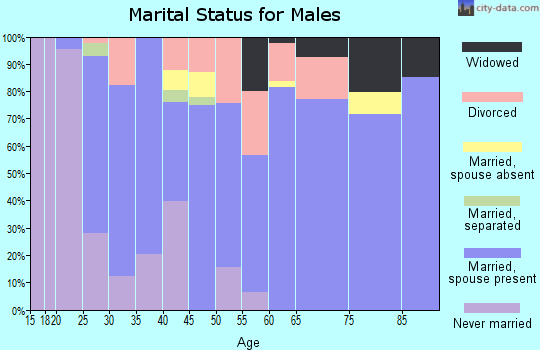 Zip code 49040 marital status for males