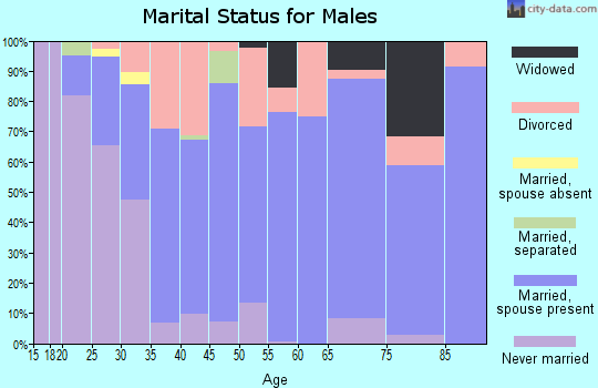 Zip code 49042 marital status for males