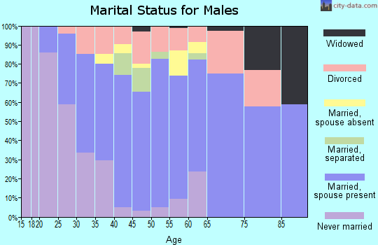 Zip code 49045 marital status for males