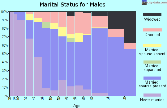 Zip code 49047 marital status for males