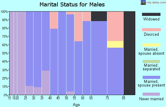Zip code 49050 marital status for males