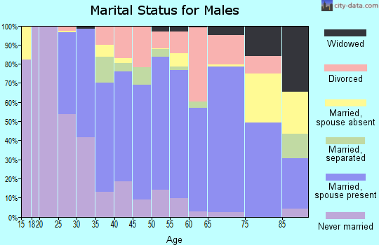 Zip code 49053 marital status for males
