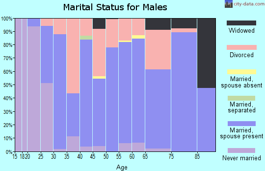 Zip code 49055 marital status for males
