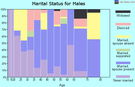 Zip code 49056 marital status for males