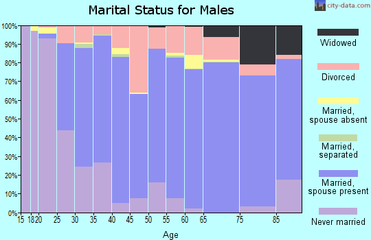 Zip code 49058 marital status for males