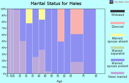Zip code 49060 marital status for males