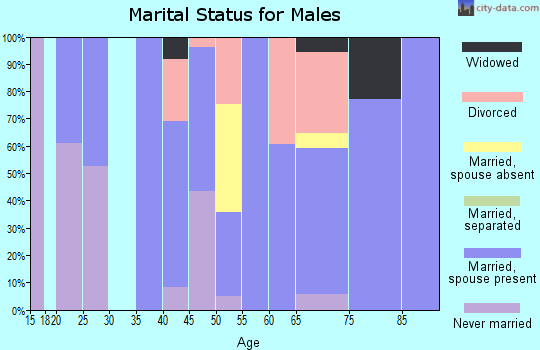 Zip code 49061 marital status for males