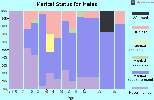 Zip code 49064 marital status for males