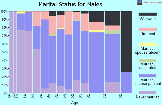 Zip code 49065 marital status for males