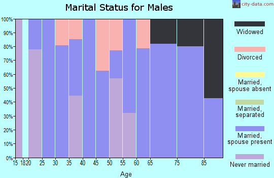 Zip code 49066 marital status for males