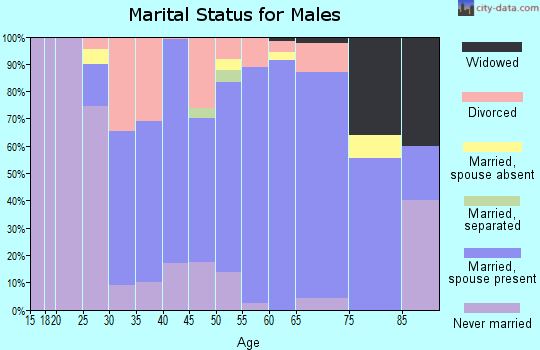 Zip code 49067 marital status for males