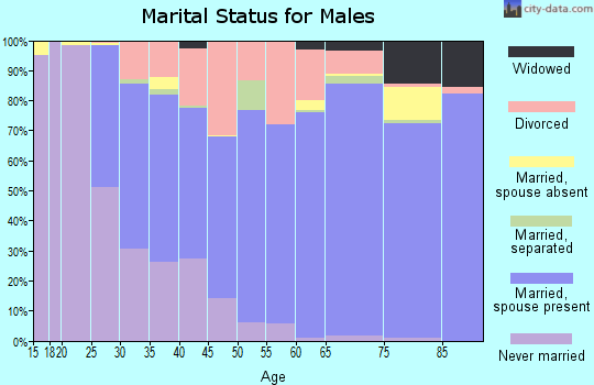 Zip code 49068 marital status for males