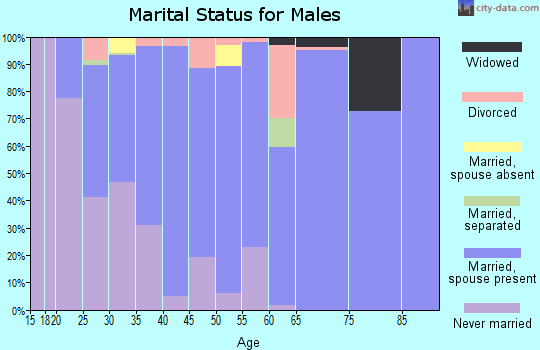 Zip code 49070 marital status for males