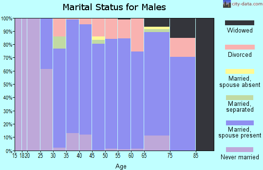 Zip code 49071 marital status for males