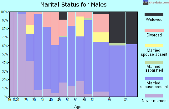 Zip code 49072 marital status for males