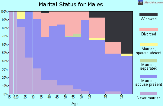 Zip code 49073 marital status for males