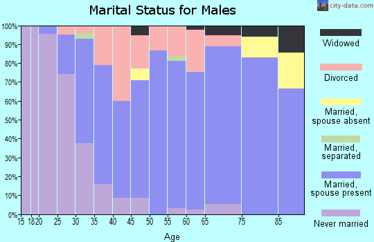 Zip code 49076 marital status for males