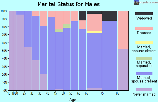 Zip code 49078 marital status for males
