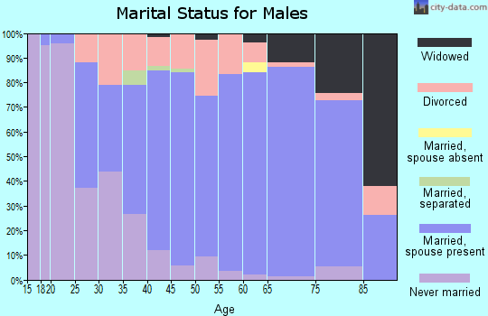 Zip code 49080 marital status for males