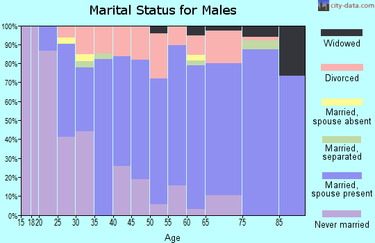 Zip code 49082 marital status for males
