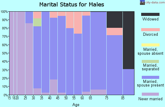Zip code 49083 marital status for males