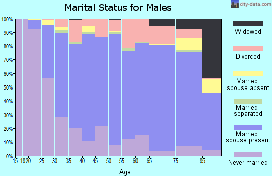 Zip code 49085 marital status for males