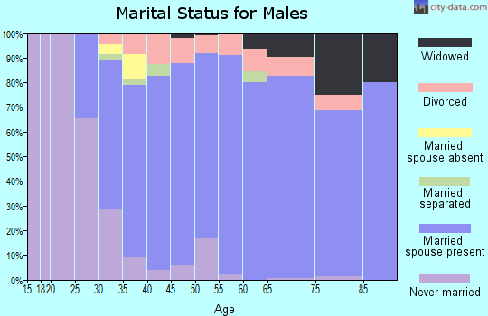 Zip code 49087 marital status for males