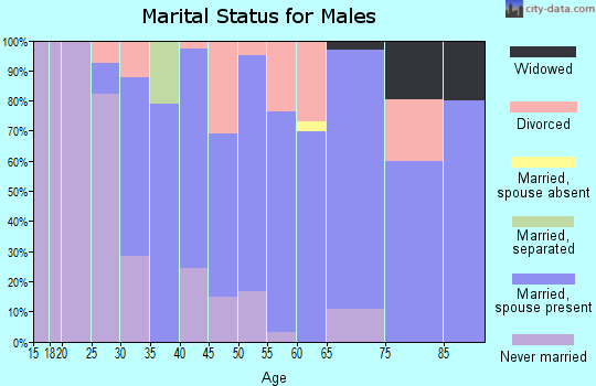 Zip code 49088 marital status for males