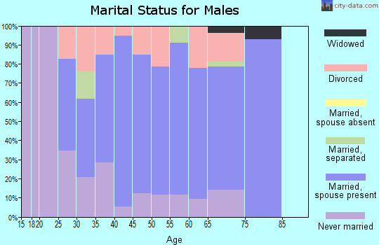Zip code 49089 marital status for males