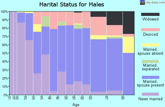 Zip code 49090 marital status for males