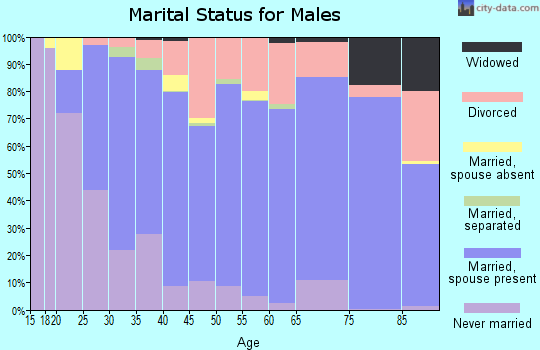 Zip code 49091 marital status for males
