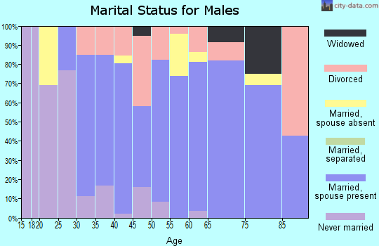 Zip code 49092 marital status for males