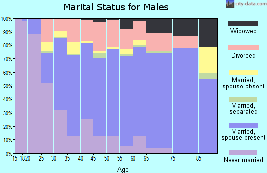 Zip code 49093 marital status for males