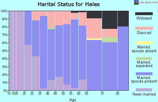 Zip code 49094 marital status for males