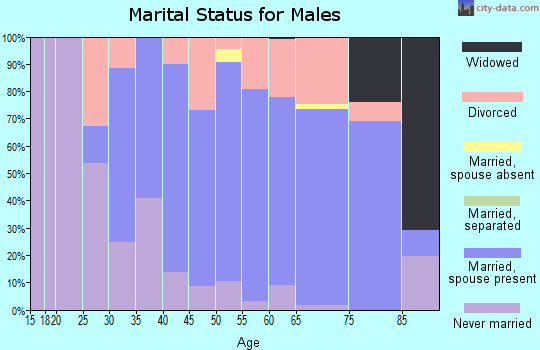 Zip code 49095 marital status for males