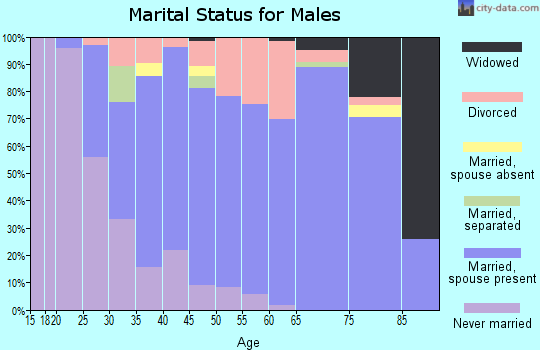 Zip code 49096 marital status for males