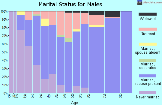 Zip code 49097 marital status for males