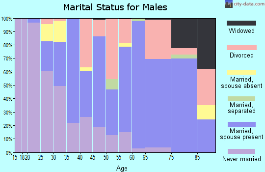 Zip code 49098 marital status for males
