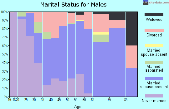Zip code 49099 marital status for males