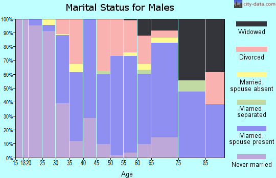 Zip code 49101 marital status for males