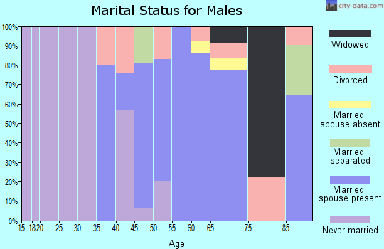 Zip code 49102 marital status for males