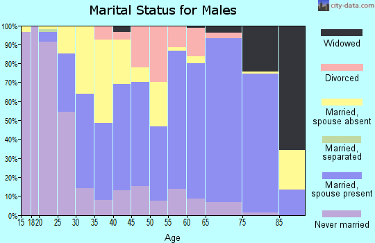 Zip code 49103 marital status for males